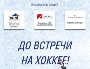  Хоккей для саморегуляторов